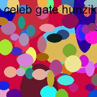 celeb gate hunziker